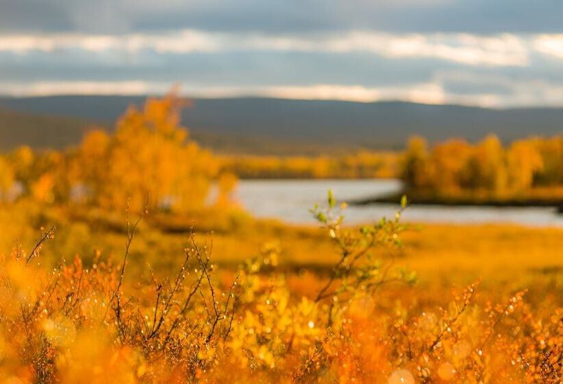 هتل Arctic Gourmet Cabin