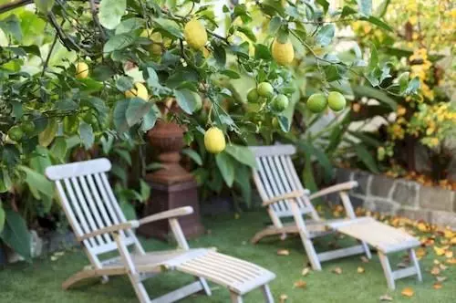 住宿加早餐 Captains Retreat Apartments And Cottages