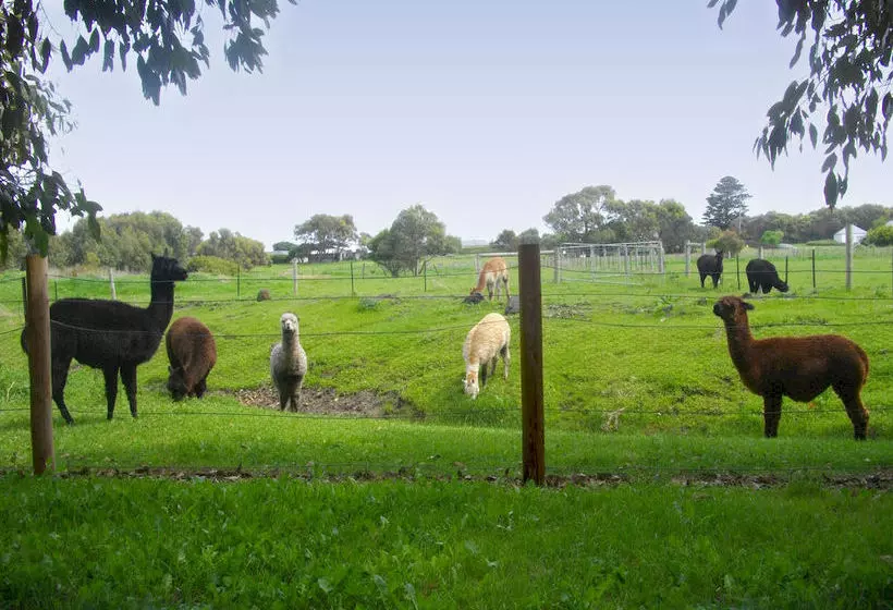 住宿加早餐 Clonmara Country House And Cottages