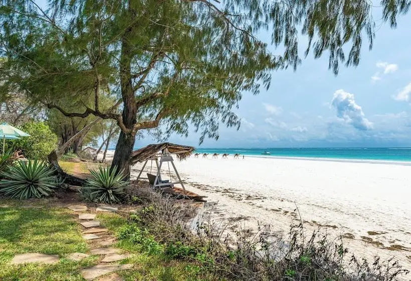 Hotel Nomad Beach Resort