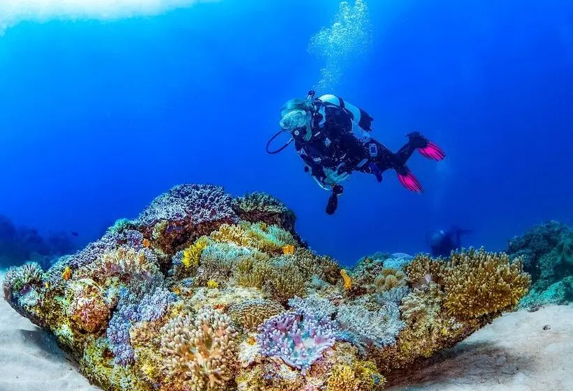 Hotel Nomad Beach Resort