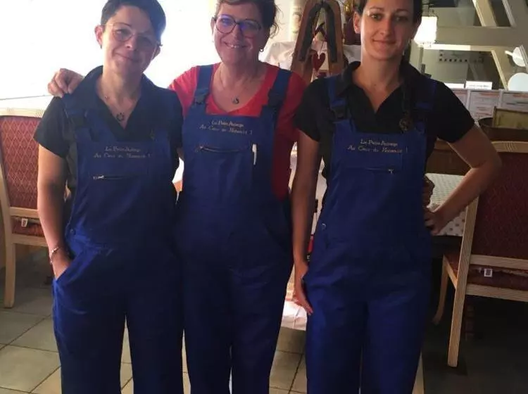 Отель Logis Hôtel Restaurant La Petite Auberge Alsace