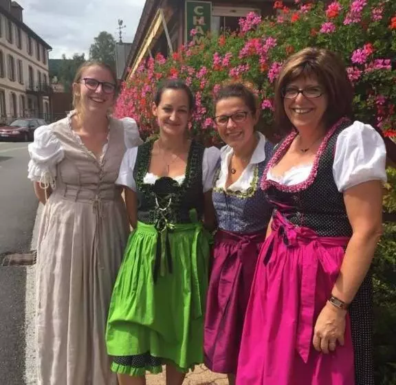 Отель Logis Hôtel Restaurant La Petite Auberge Alsace