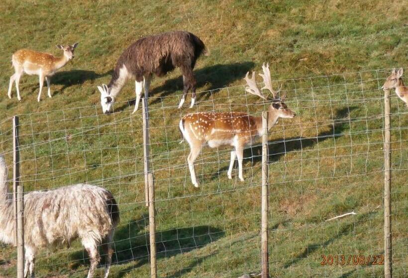호텔 Logis Hôtel Restaurant La Petite Auberge Alsace