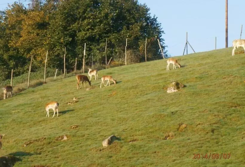 Отель Logis Hôtel Restaurant La Petite Auberge Alsace