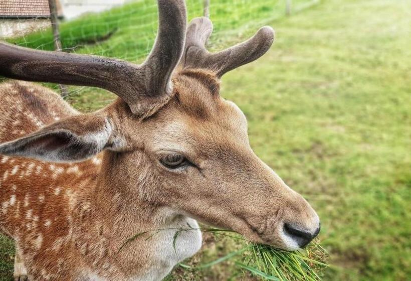 호텔 Logis Hôtel Restaurant La Petite Auberge Alsace