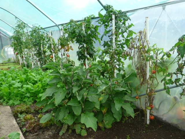 호텔 Logis Hôtel Restaurant La Petite Auberge Alsace