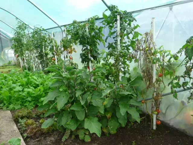 Отель Logis Hôtel Restaurant La Petite Auberge Alsace