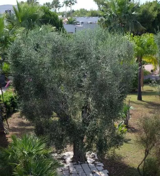 Hotelli Sciali