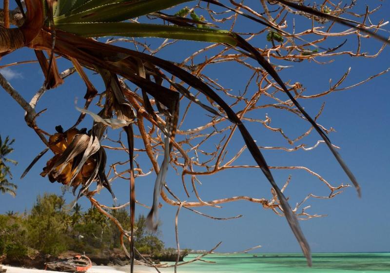 فندق Unguja Lodge