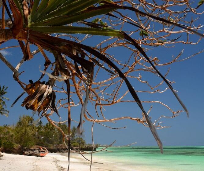 فندق Unguja Lodge