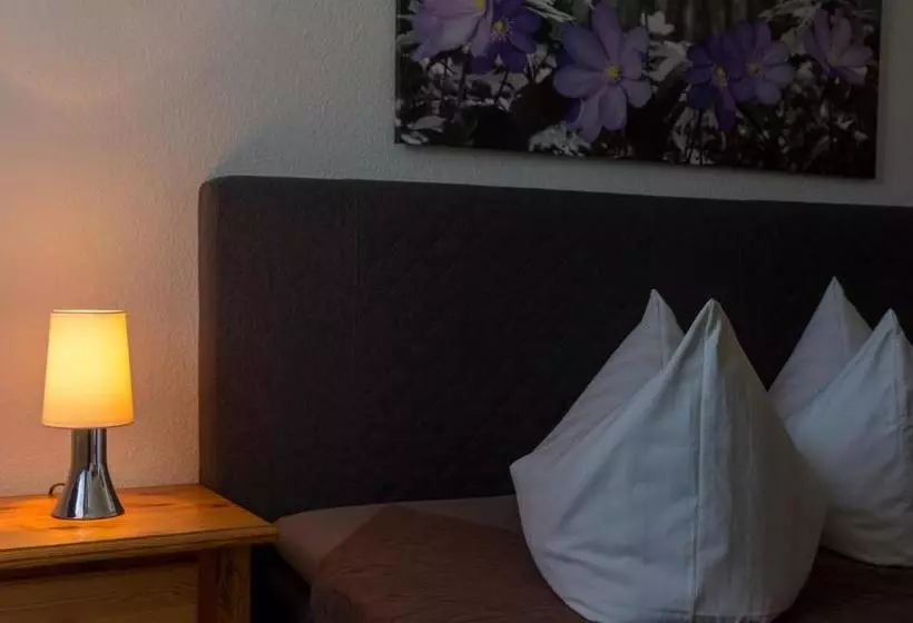 膳宿费 Gasthaus Zur Grässelmühle