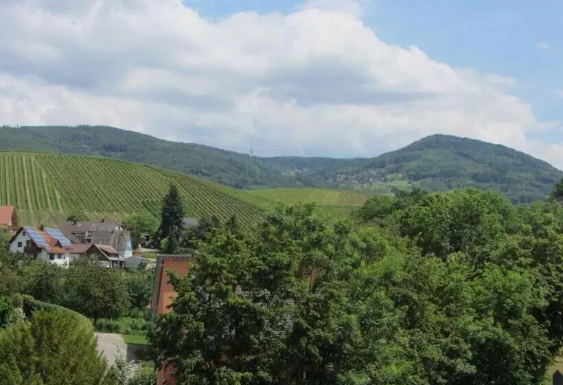 膳宿费 Gasthaus Zur Grässelmühle