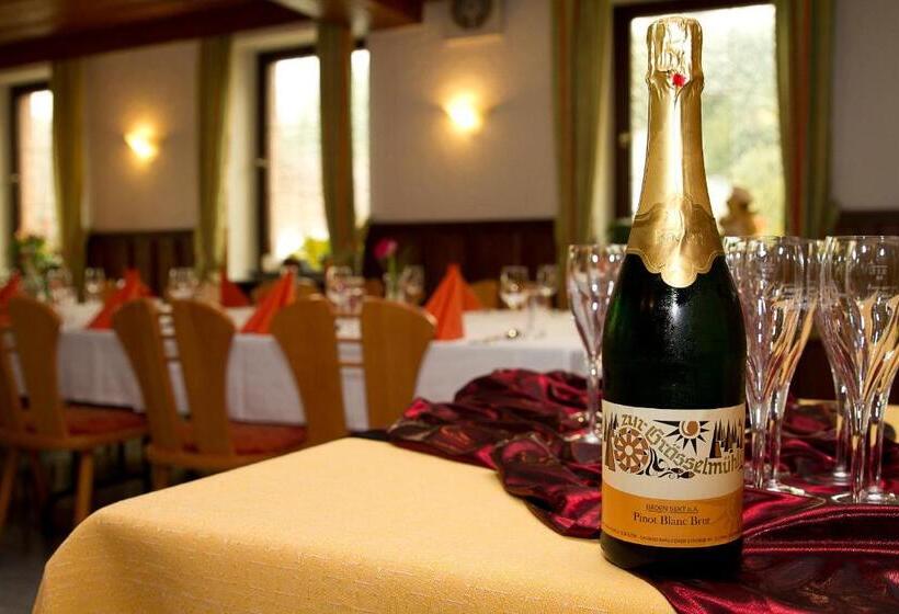 膳宿费 Gasthaus Zur Grässelmühle