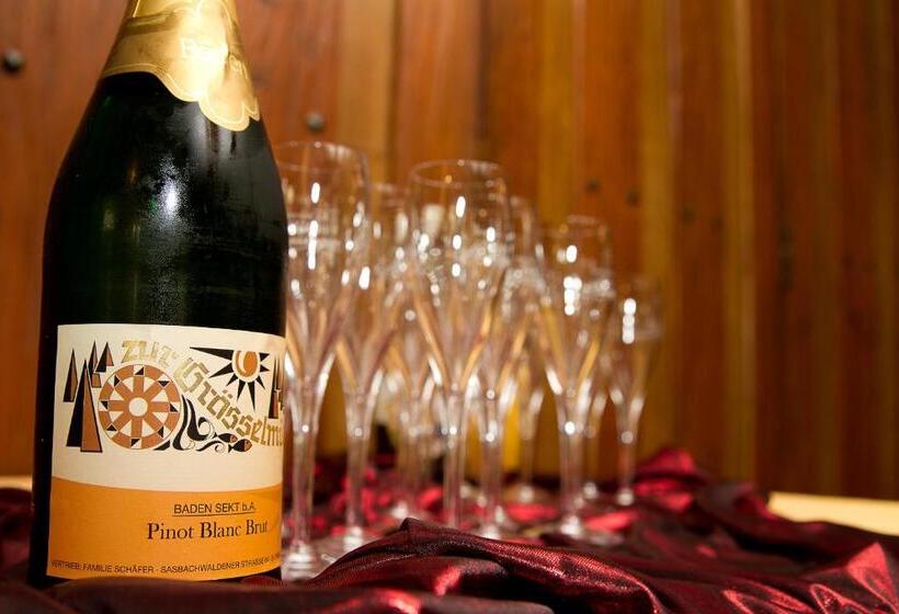 膳宿费 Gasthaus Zur Grässelmühle