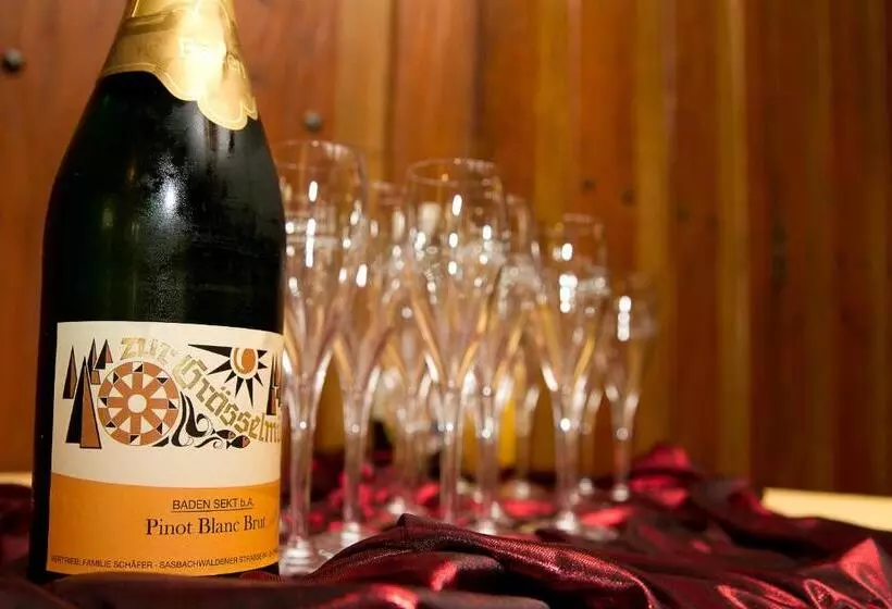 膳宿费 Gasthaus Zur Grässelmühle