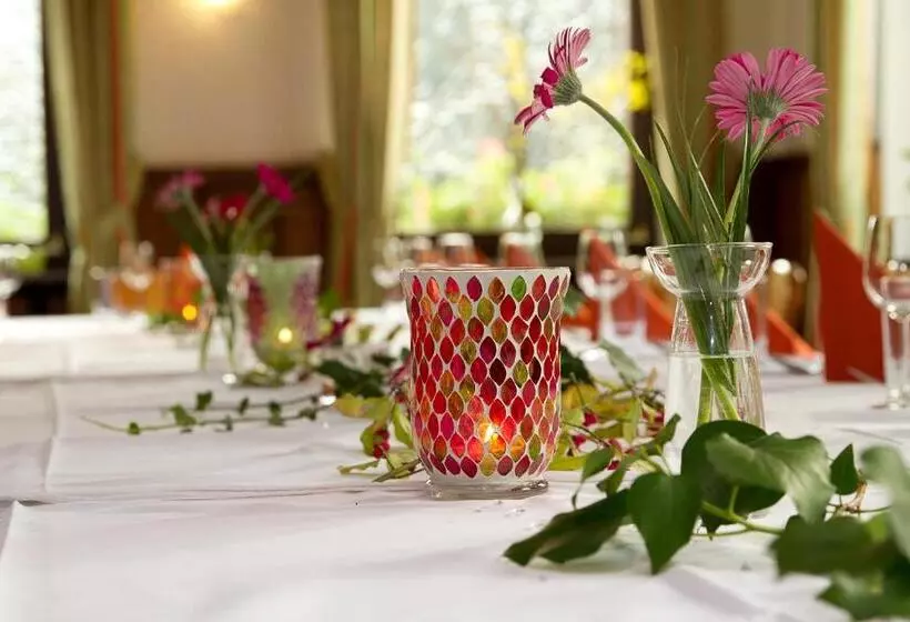 膳宿费 Gasthaus Zur Grässelmühle