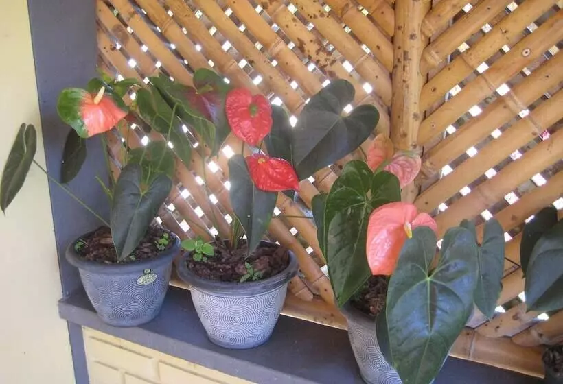 ホテル Finca La Marsellesa