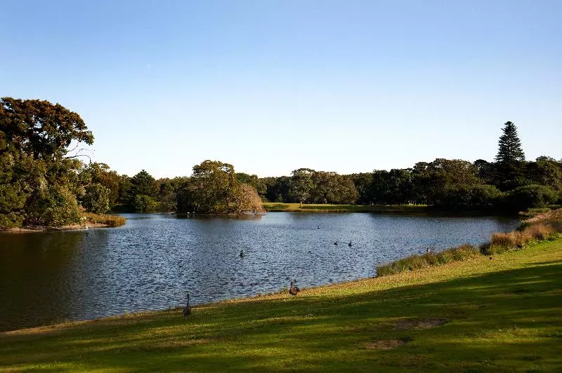 Holiday Inn & Suites Sydney Bondi Junction, An Ihg