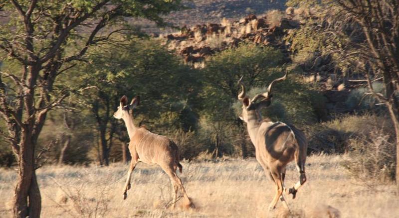 Отель Goibib Mountain Lodge