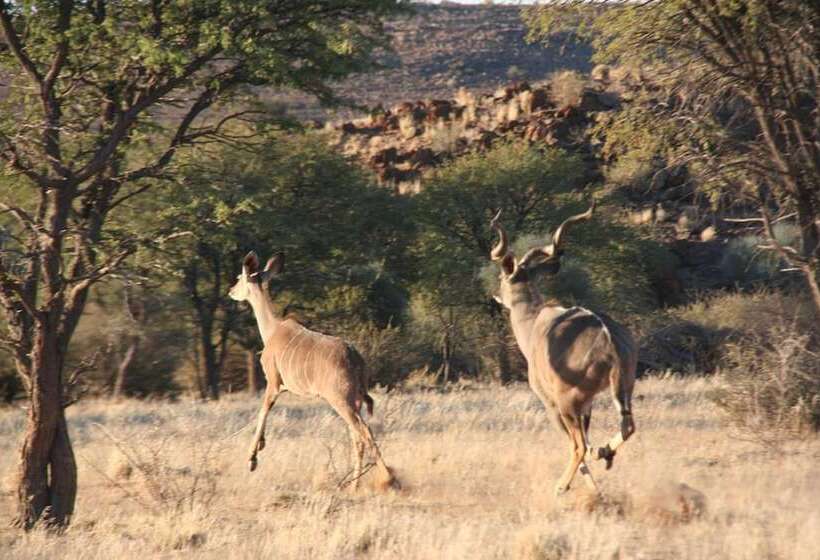 Отель Goibib Mountain Lodge