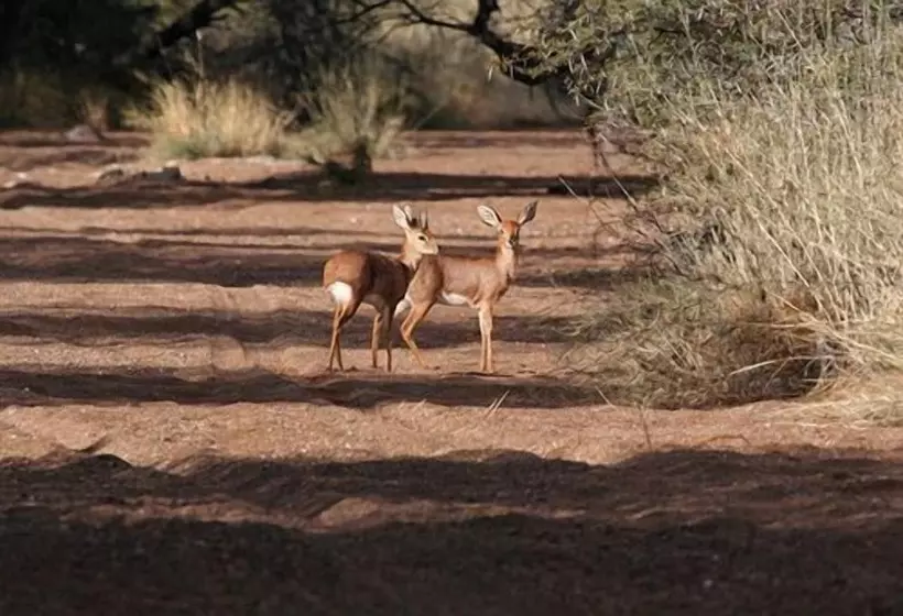 Отель Goibib Mountain Lodge