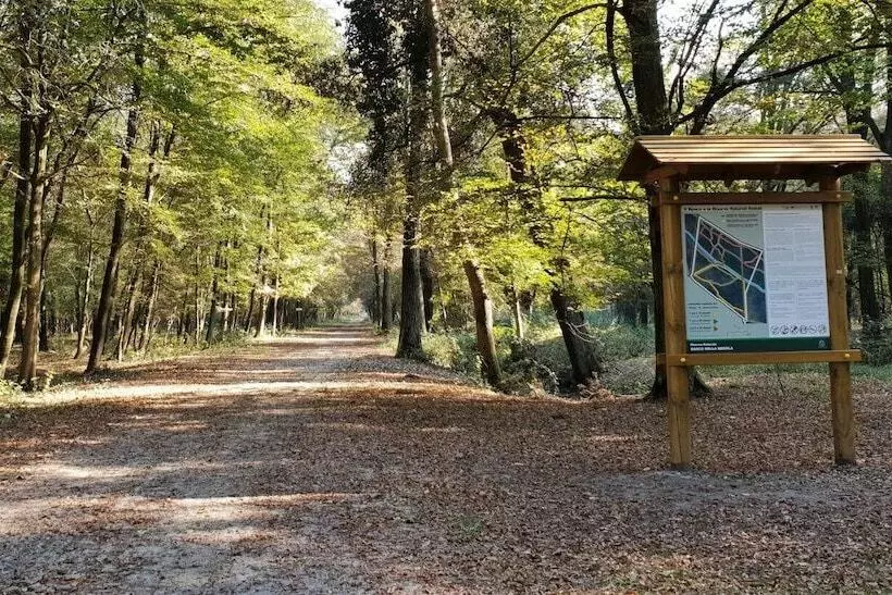 ホテル Michelangelo Holiday & Family Resort