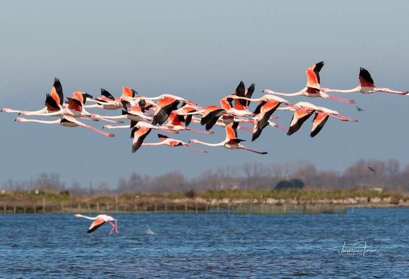 호텔 Michelangelo Holiday & Family Resort