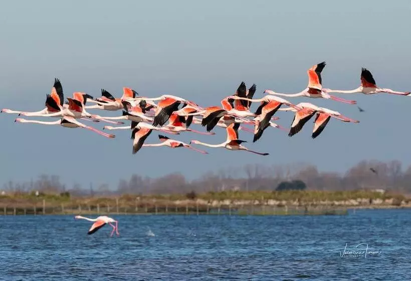 ホテル Michelangelo Holiday & Family Resort