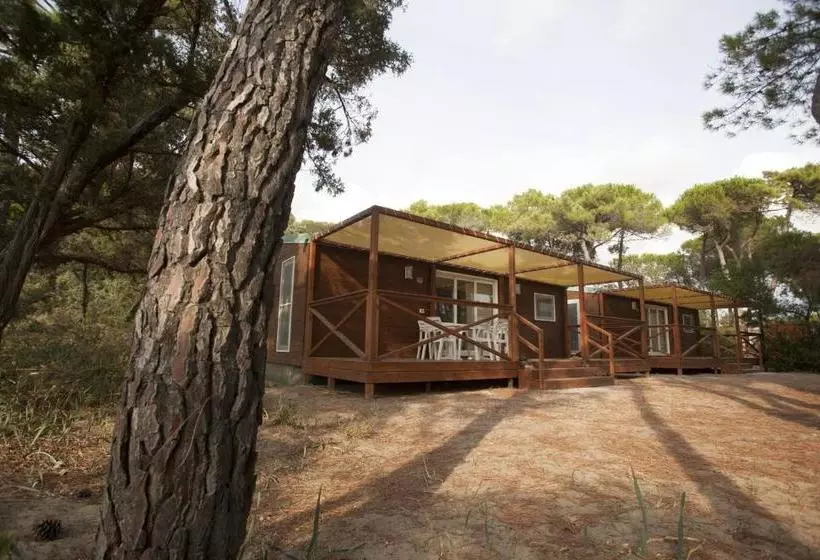 호텔 Puntala Camp & Resort