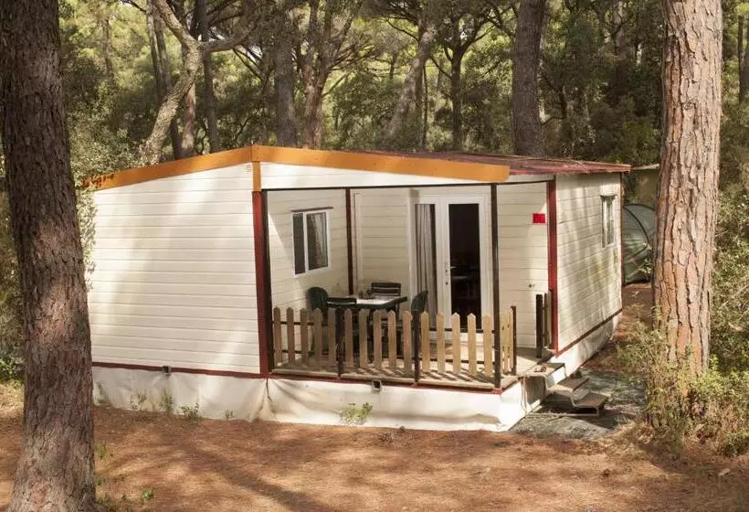 호텔 Puntala Camp & Resort