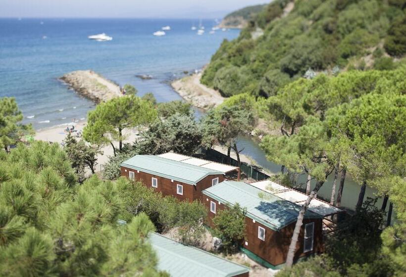 호텔 Puntala Camp & Resort