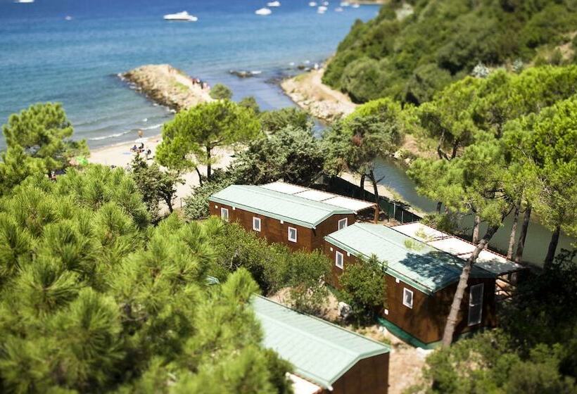 호텔 Puntala Camp & Resort