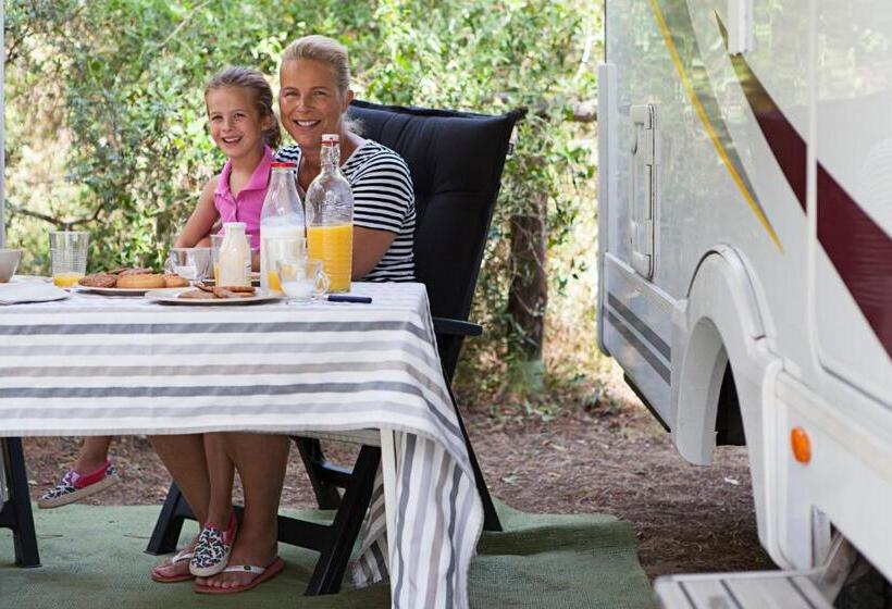 호텔 Puntala Camp & Resort