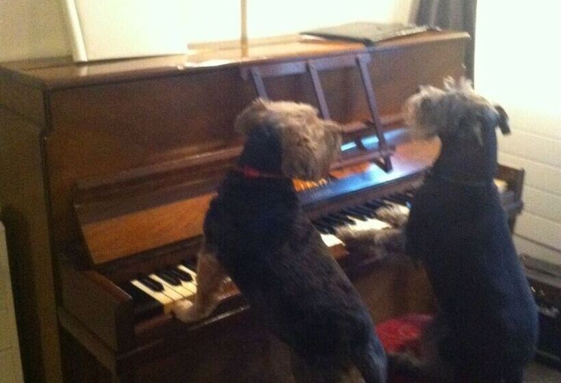 هتل The Cross Keys