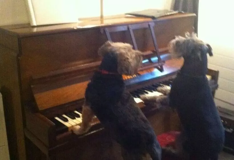 هتل The Cross Keys