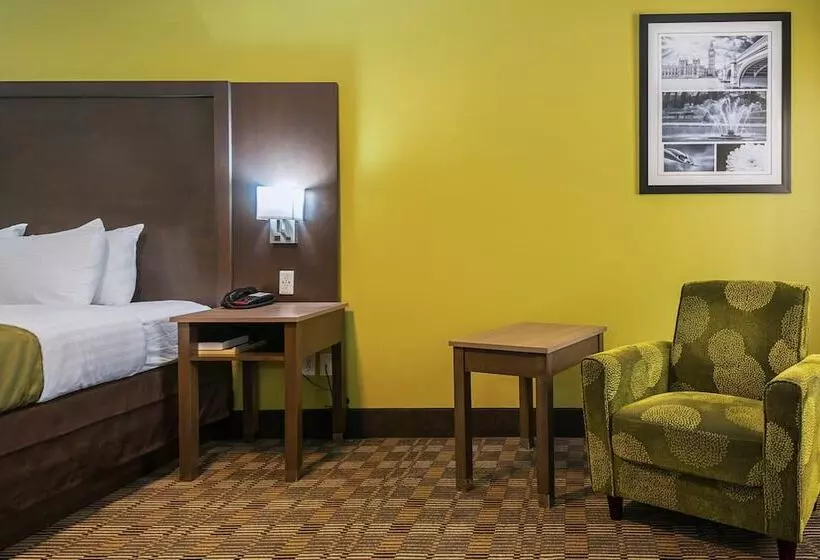 汽车旅馆  Quality Inn