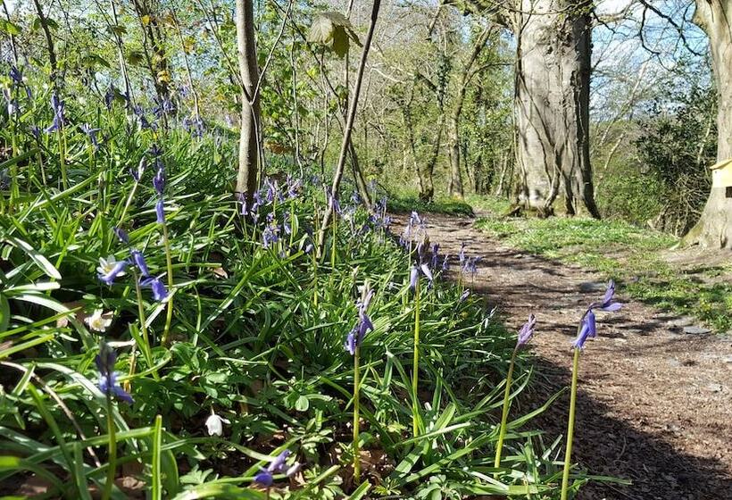 بنسيون Llety Cynin