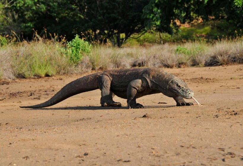 Plataran Komodo Resort & Spa   Chse Certified