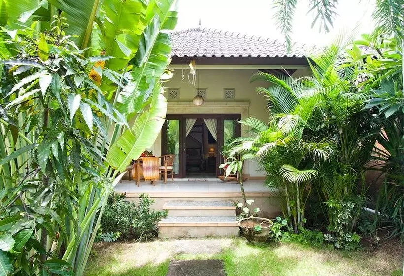 渡假胜地 Pazzo Bali