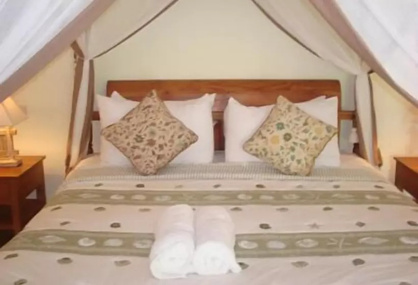 渡假胜地 Pazzo Bali