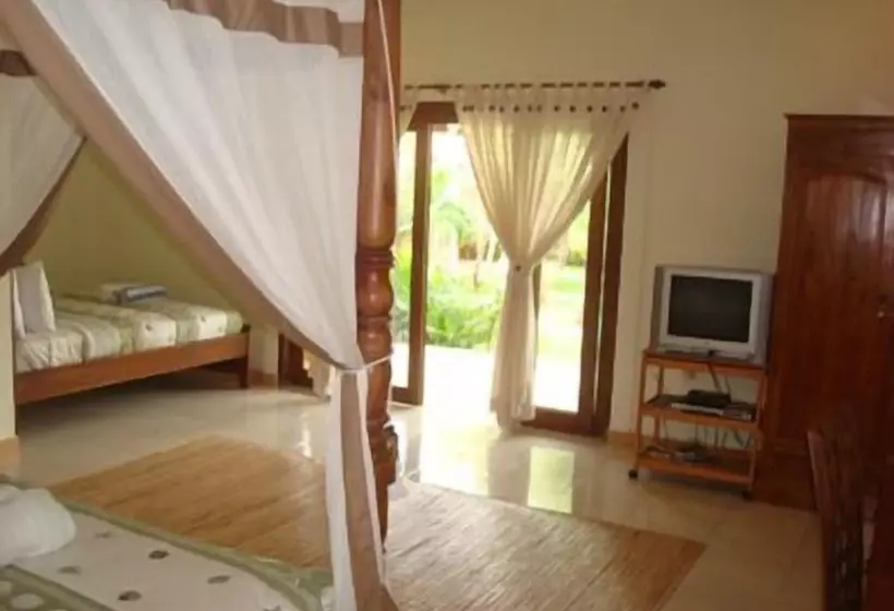 渡假胜地 Pazzo Bali