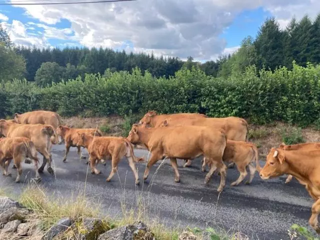 Aamiaismajoitus (B&B) Maison De Campagne