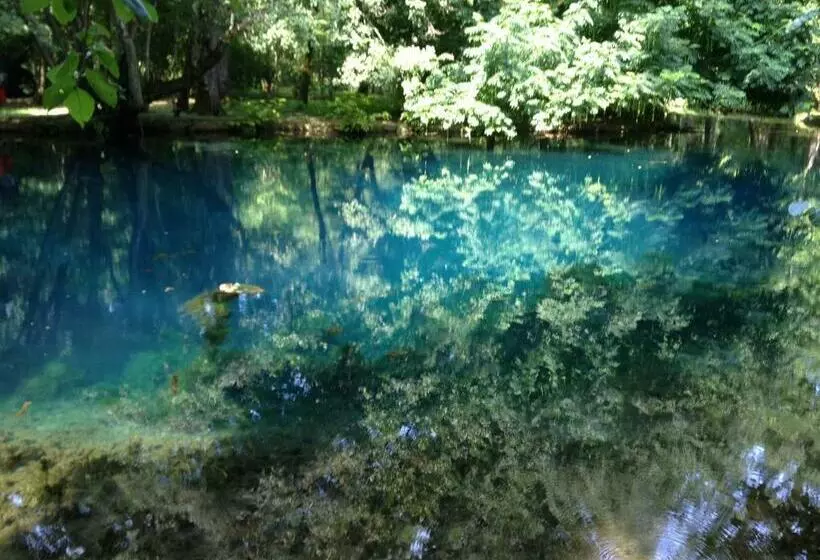 Aamiaismajoitus (B&B) Tess Cottage