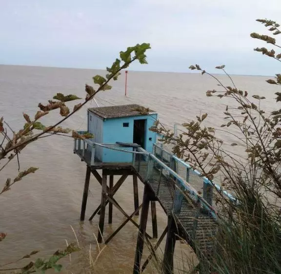 Aamiaismajoitus (B&B) Tess Cottage