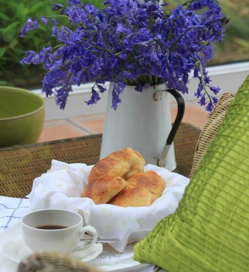 住宿加早餐 Ty Llwyd