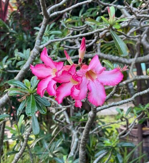 Hotel เพชร รีสอร์ท นครไทย Phet Resort, Nakhonthai