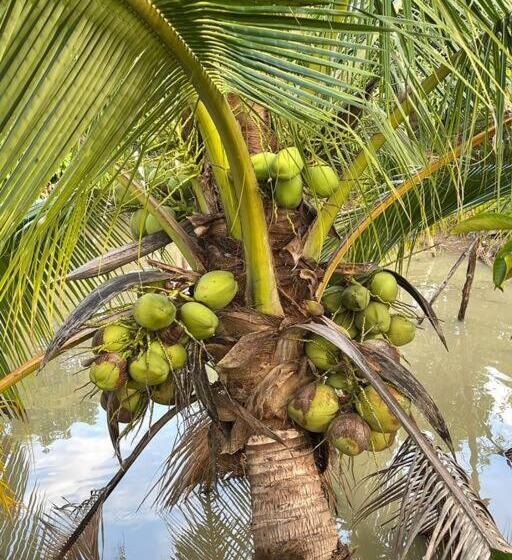 Hotel เพชร รีสอร์ท นครไทย Phet Resort, Nakhonthai