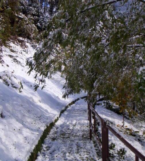 酒店 Albergo Ristorante Sole