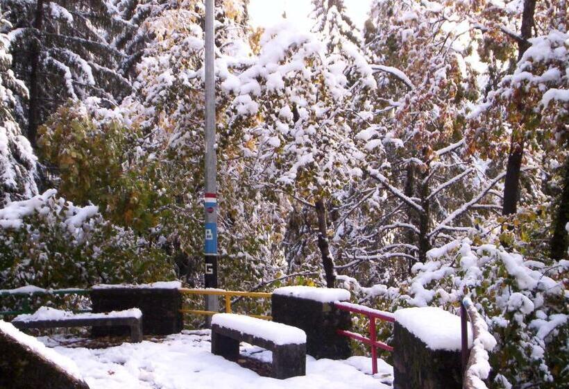 酒店 Albergo Ristorante Sole